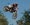 FMX Pranzac 2005
